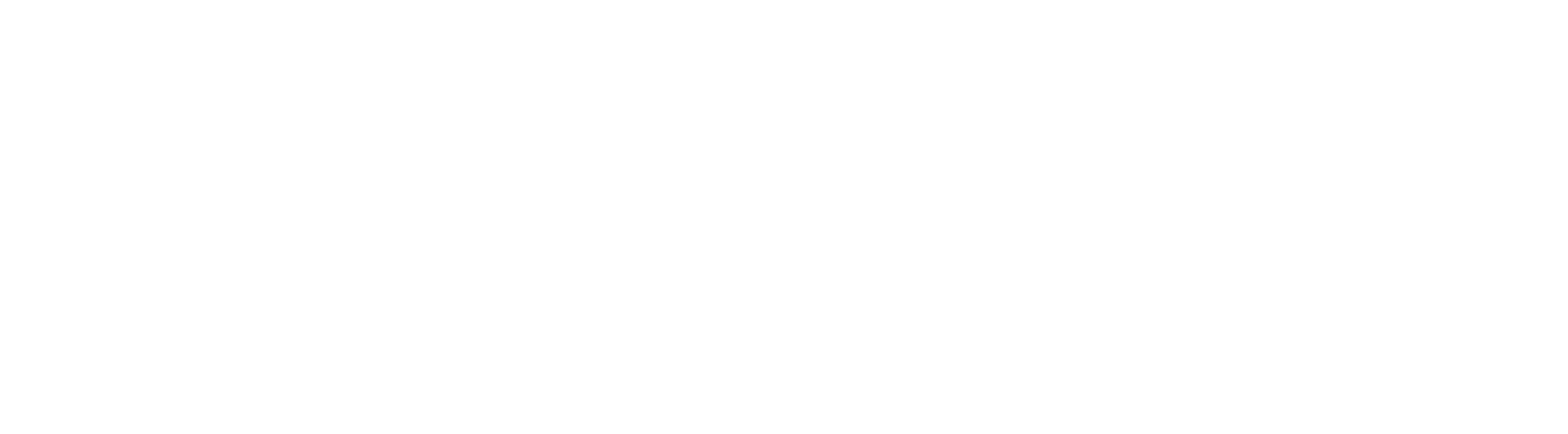 Global Survey